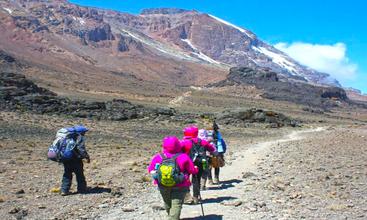 7 Days Mount Kilimanjaro Rongai Route